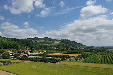 Roero Landscape